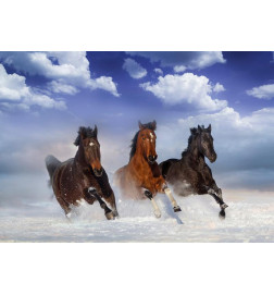 34,00 € Fotobehang - Horses in the Snow