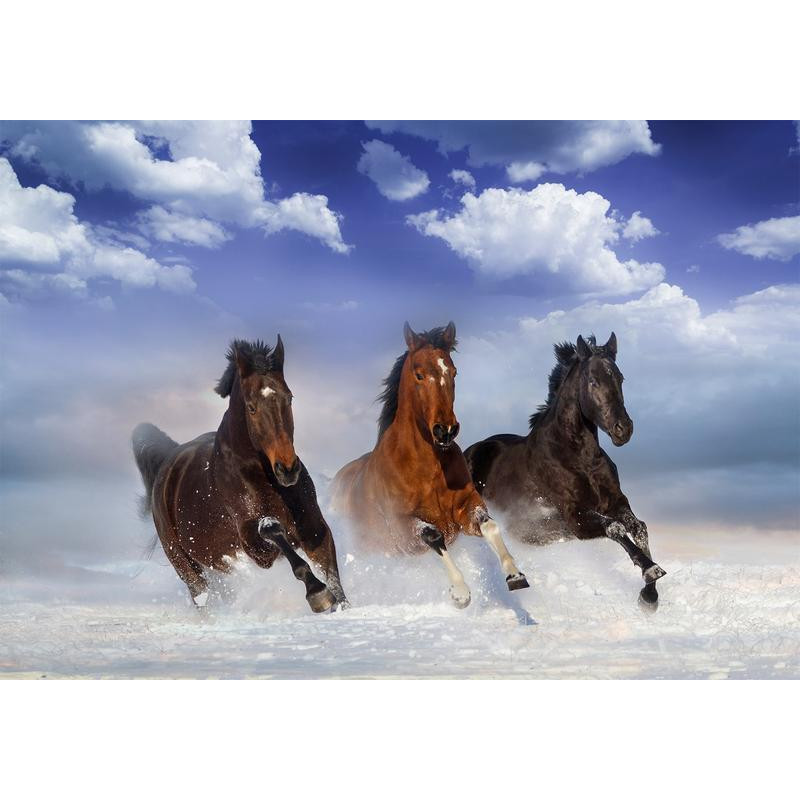 34,00 € Fototapete - Horses in the Snow