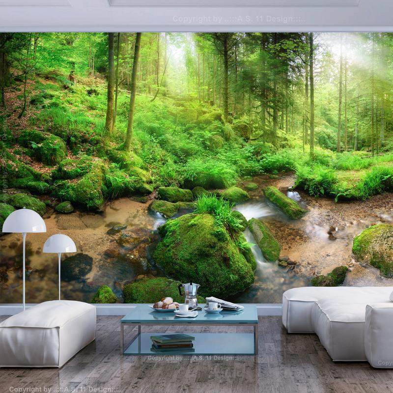34,00 € Fotobehang - Humid Forest