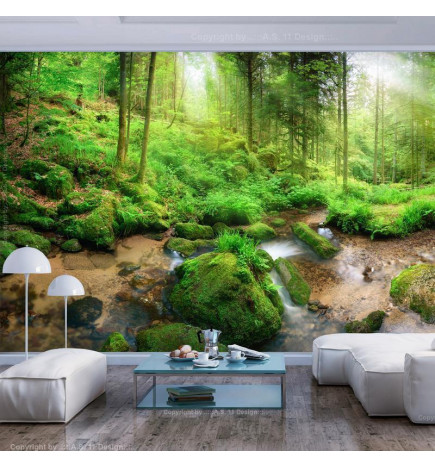 Mural de parede - Humid Forest