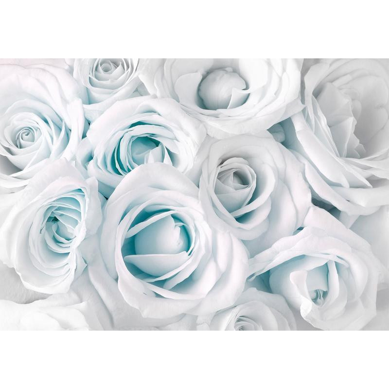 34,00 € Wall Mural - Satin Rose (Turquoise)