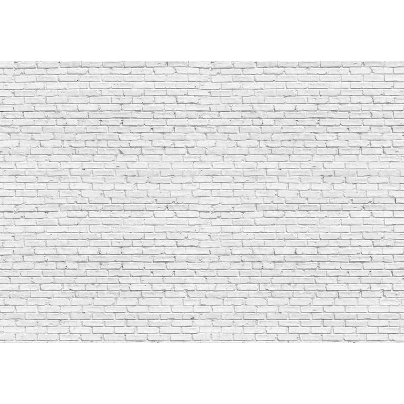 34,00 € Fototapete - Gray Brick