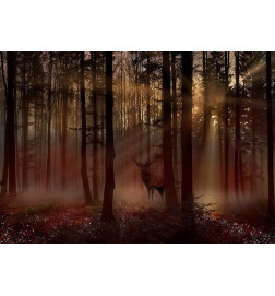 Fototapet - Mystical Forest - First Variant