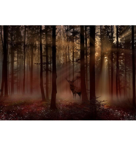 Fotobehang - Mystical Forest - First Variant