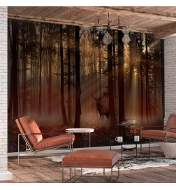 Wall Mural - Mystical Forest - First Variant