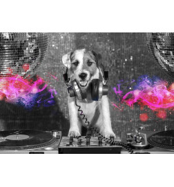 Fototapetti - DJ Dog