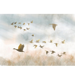 34,00 € Foto tapete - Golden Geese