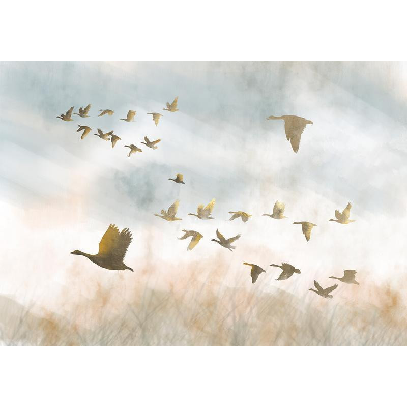 34,00 € Foto tapete - Golden Geese
