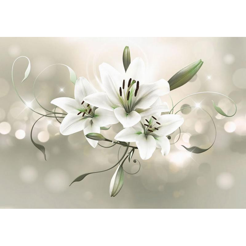 34,00 € Fototapeet - Lily - Flower of Masters