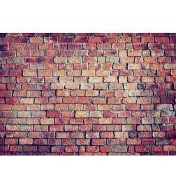 Wall Mural - Brick - puzzle