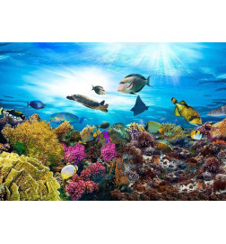 Papier peint - Coral reef