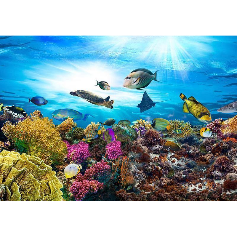 34,00 € Fotobehang - Coral reef