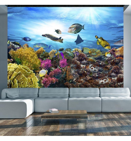 Wall Mural - Coral reef