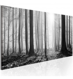 Leinwandbild - Black and White Forest