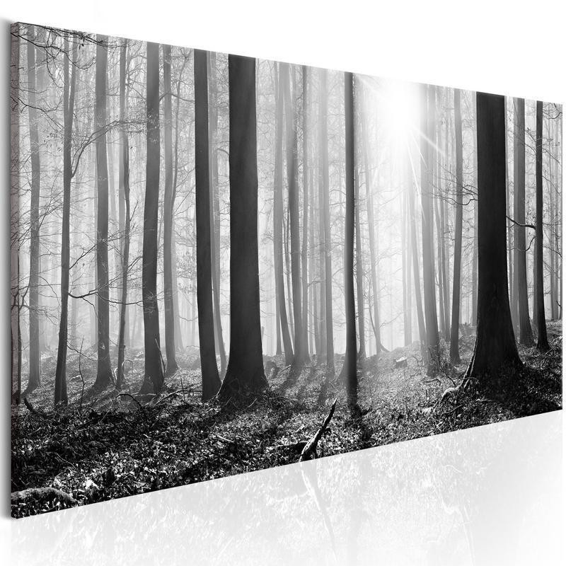 82,90 € Schilderij - Black and White Forest