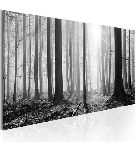 Slika - Black and White Forest