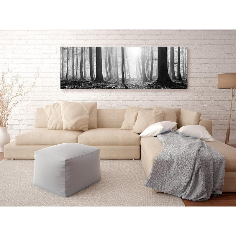 82,90 € Cuadro - Black and White Forest