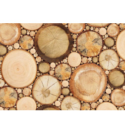 Wall Mural - Wood grains