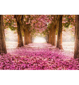 Fototapetti - Pink grove