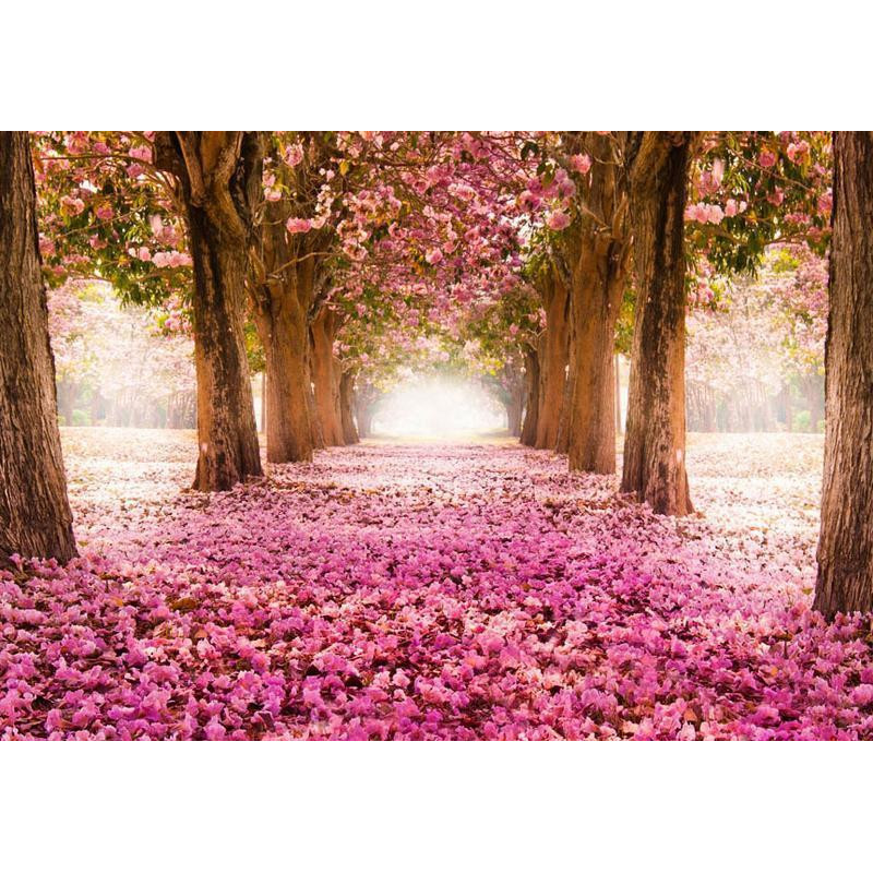 34,00 € Fotobehang - Pink grove