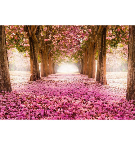 Mural de parede - Pink grove