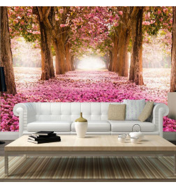 Fototapete - Pink grove