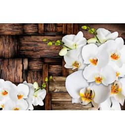 Fotobehang - Blooming orchids