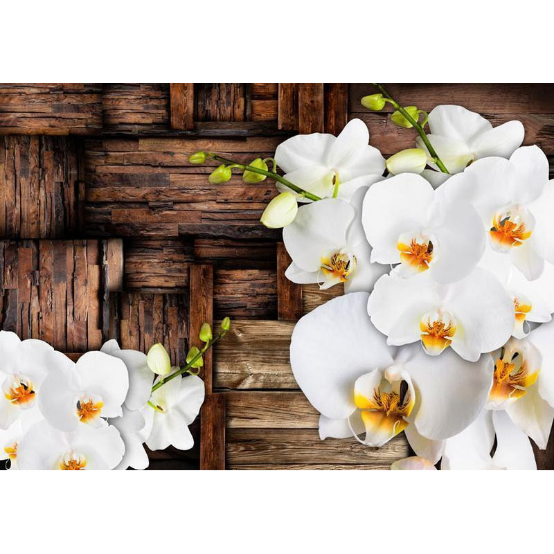 34,00 € Fotomural - Blooming orchids