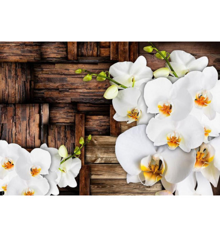 34,00 € Wall Mural - Blooming orchids