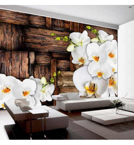 Mural de parede - Blooming orchids