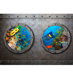 Fotobehang - Window to the underwater world