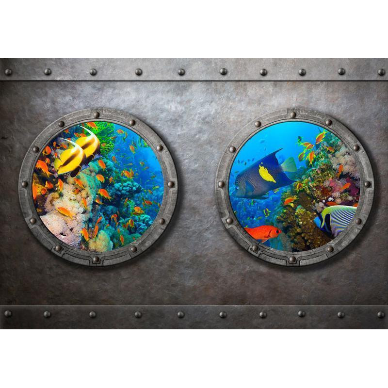 34,00 € Fotobehang - Window to the underwater world