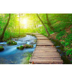 34,00 € Wall Mural - Green forest