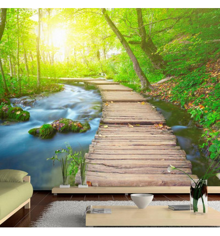 Wall Mural - Green forest