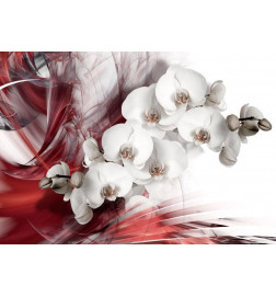 Wall Mural - Orchid in red