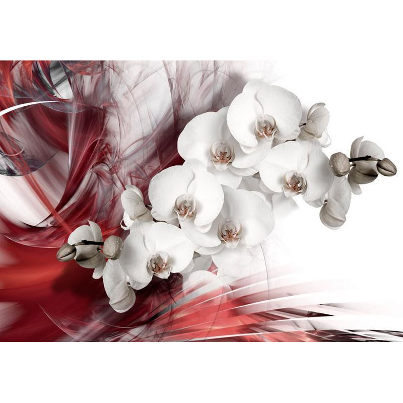 34,00 € Fotobehang - Orchid in red