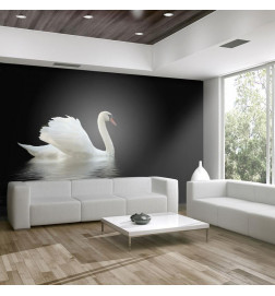 Mural de parede - swan (black and white)