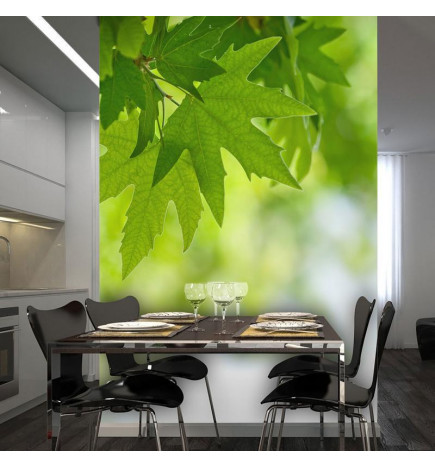 73,00 € Wall Mural - leaves (Shallow focus)