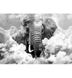 Fotobehang - Elephant in the Clouds (Black and White)