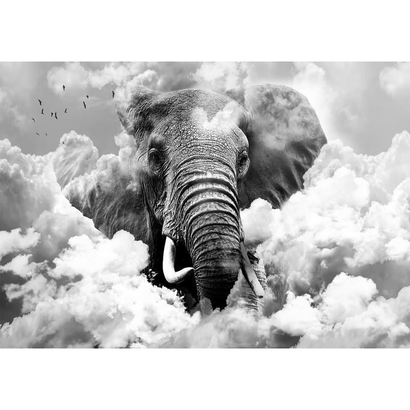 34,00 € Foto tapete - Elephant in the Clouds (Black and White)