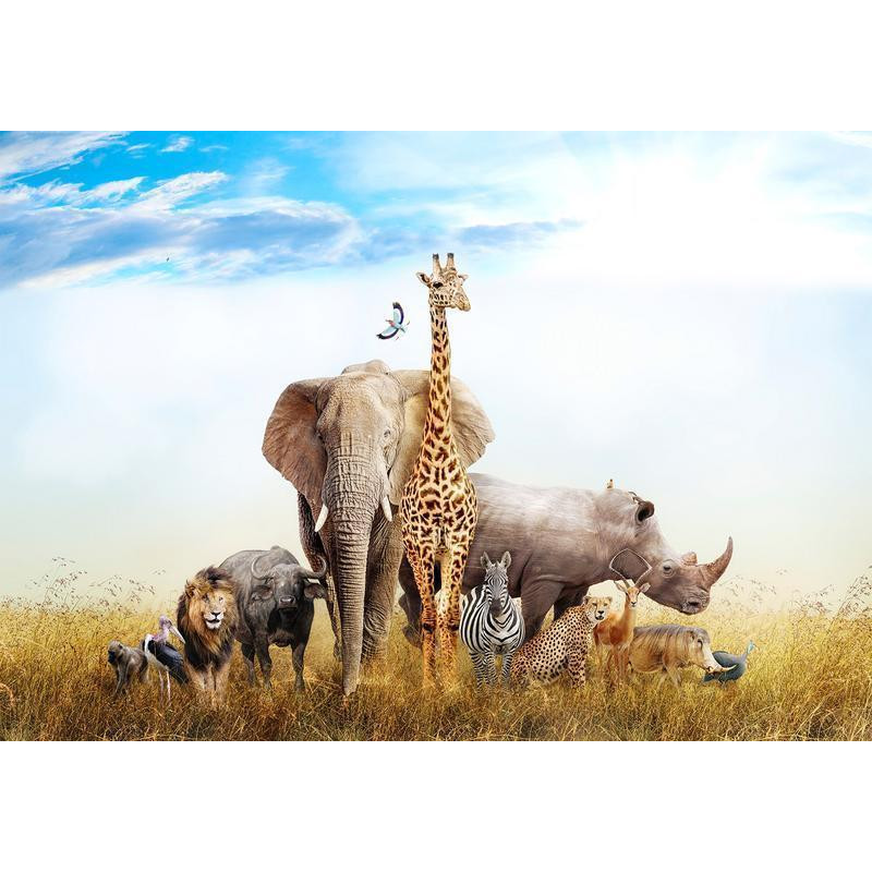 34,00 € Fotomural - Fauna of Africa