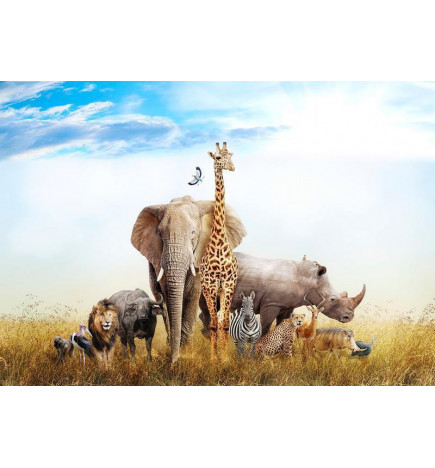 Fototapete - Fauna of Africa