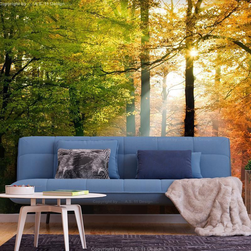 34,00 € Wall Mural - Forest Colours