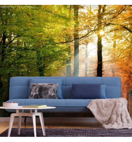 Wall Mural - Forest Colours