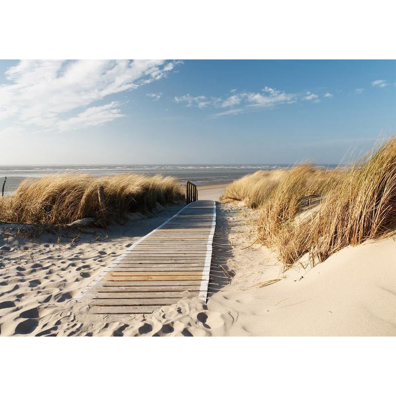34,00 € Wall Mural - Lonely Beach