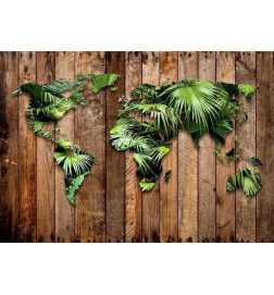 Wall Mural - Jungle of the World