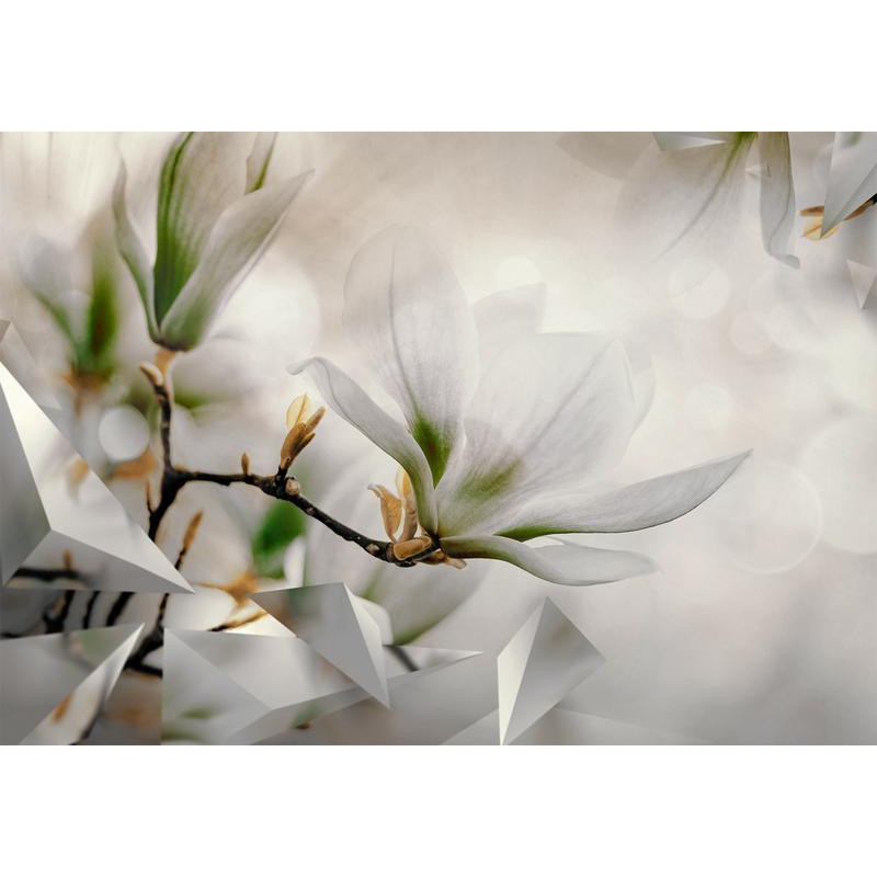 34,00 € Fotobehang - Subtle Magnolias - Second Variant
