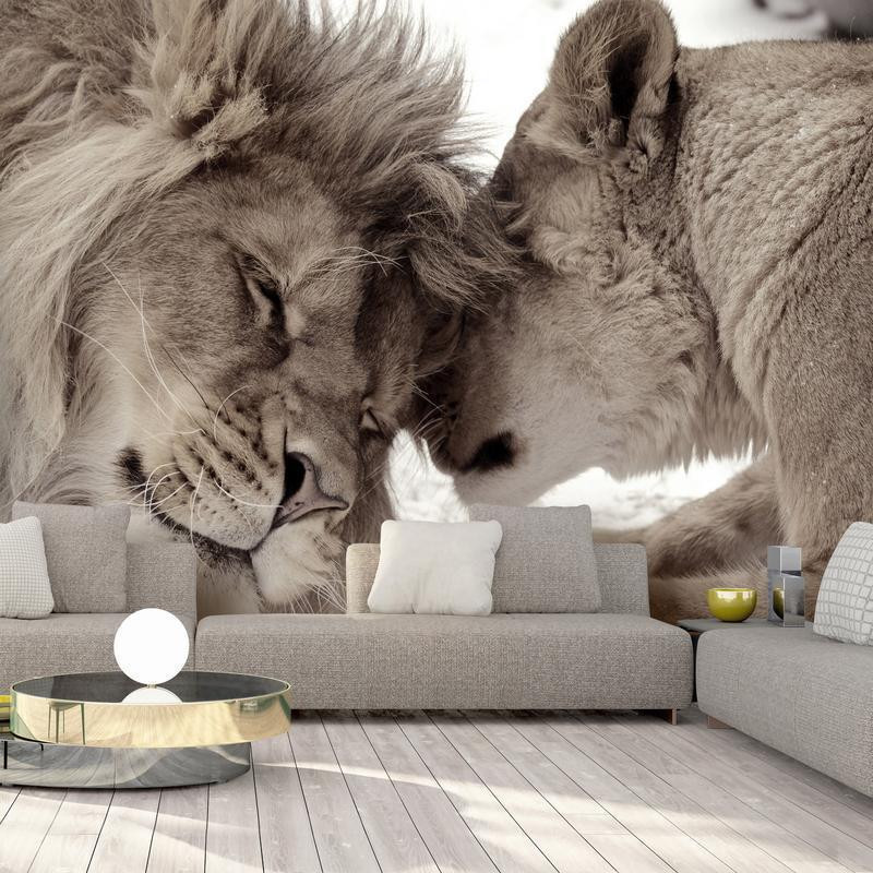34,00 € Foto tapete - Lion Tenderness (Sepia)