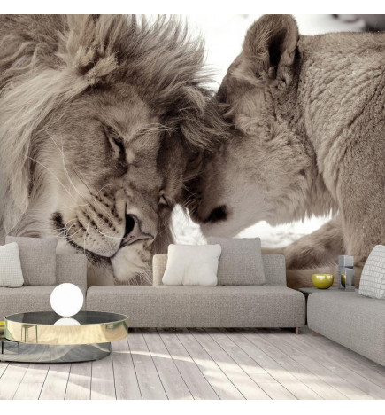 34,00 € Fotobehang - Lion Tenderness (Sepia)