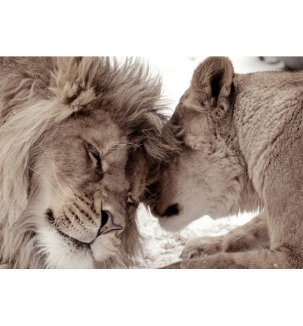 Fototapetti - Lion Tenderness (Sepia)